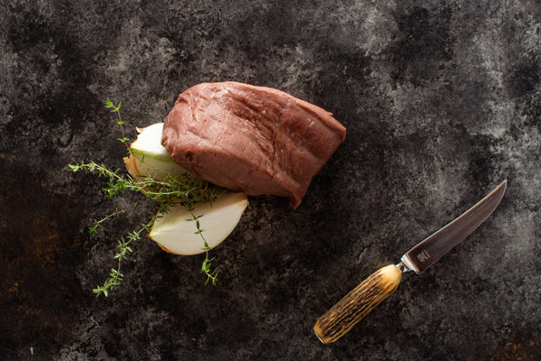 South Texas Antelope Filet Steak