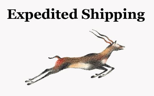 Expedited Shipping Icon