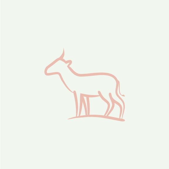 Antelope Icon